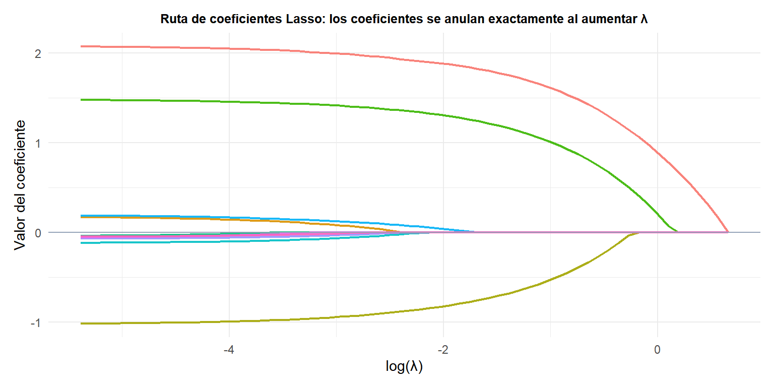 Ruta de coeficientes Lasso en función de log(lambda) mostrando cómo los coeficientes se ponen exactamente a cero en distintos puntos